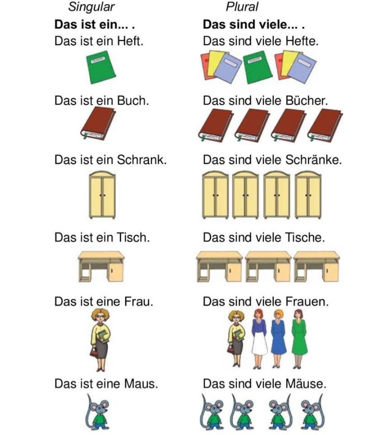 Singular und Plural in Deutsch